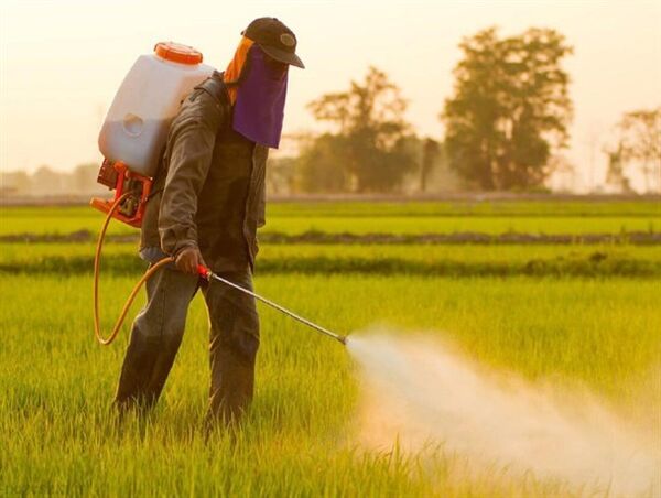 توزیع کود مورد نیاز کشاورزان در خراسان جنوبی