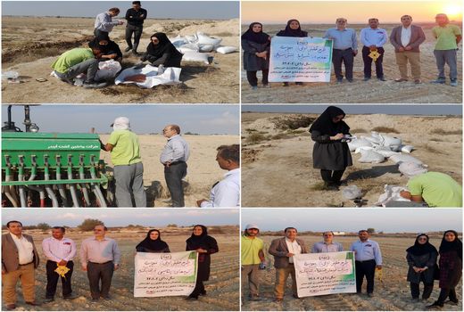 تحقق برنامه‌های مدیریت دانش در رامهرمز