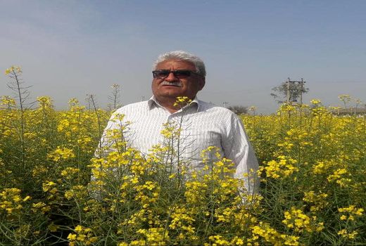 تولید 2.5 کیلوگرم گندم به ازای هر متر مکعب آب