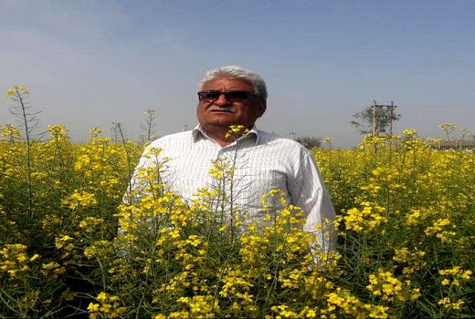 تولید 2.5 کیلوگرم گندم به ازای هر متر مکعب آب