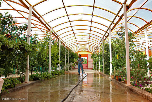 استعدادیابی 1900 هکتار از اراضی مستعد کشت گلخانه ای در استان کرمان