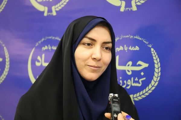 توسعه کسب‌وکارهای زنان روستایی؛ وقت عمل است نه شعار!
