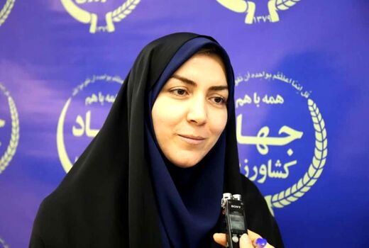 توسعه کسب‌وکارهای زنان روستایی؛ وقت عمل است نه شعار!
