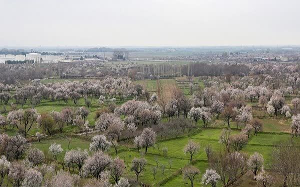 تشدید برخورد با ساخت‌وسازهای غیرمجاز در باغستان سنتی قزوین؛ آمادگی کامل یگان حفاظت اراضی