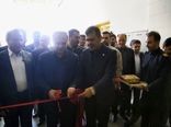افتتاح کارخانه تولید رب گوجه‌فرنگی و کنسانتره میوه و خرما در بستان‌آباد همزمان با هفته دولت
