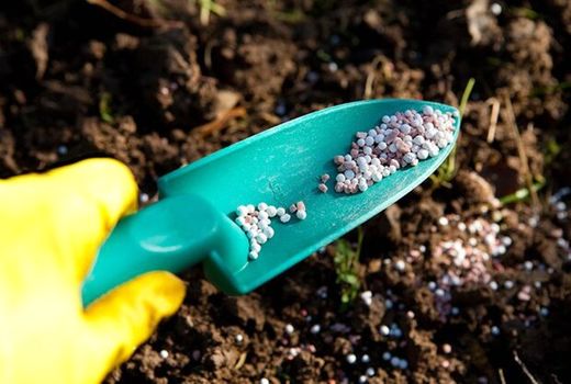 تولید دو برابری کود فسفاته در استان بوشهر 