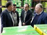 بازدید معاون تولیدات گیاهی سازمان جهاد کشاورزی استان قزوین از کارخانه ملی شیمی کشاورز
