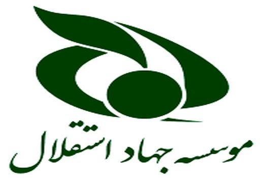 مدیرعامل موسسه جهاد استقلال منصوب شد