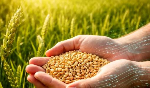هدف‌گذاری امنیت غذایی و اقتصاد مقاومتی سازمان تات با اتکای به دانش بومی