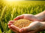 هدف‌گذاری امنیت غذایی و اقتصاد مقاومتی سازمان تات با اتکای به دانش بومی