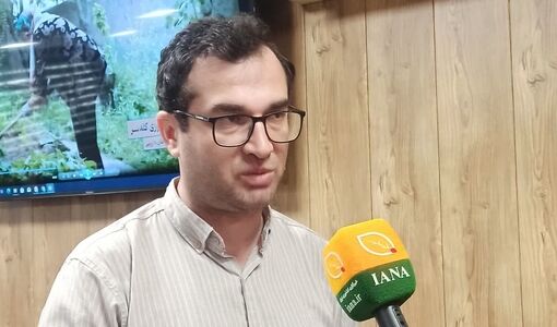 زنان روستایی از مهارت‌آموزی عبور کرده‌اند؛ وقتِ عاملیت و رهبری است