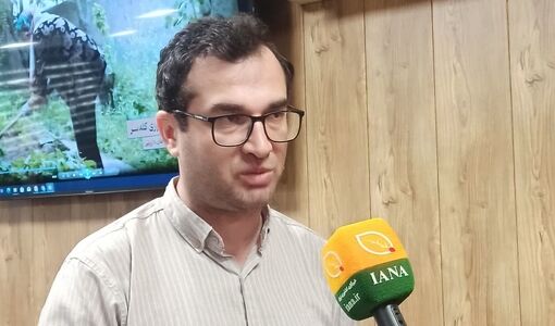 زنان روستایی از مهارت‌آموزی عبور کرده‌اند؛ وقتِ عاملیت و رهبری است