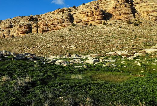 طرح کاداستر در ۷۰ درصد اراضی ملی ایلام اجرا شده است