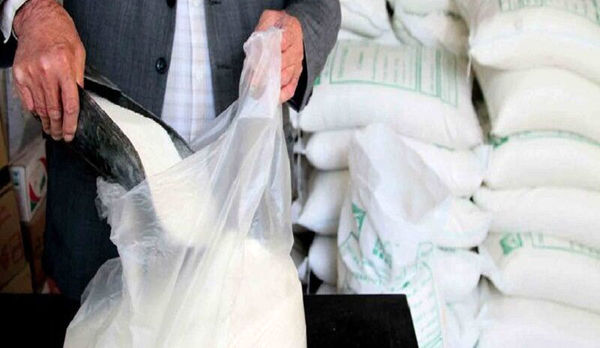 توزیع برنج و شکر تنظیم بازاری در استان قزوین