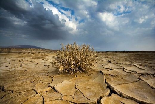 بحران خشکسالی «کردستان» را تهدید می‌کند