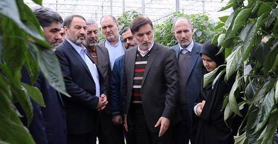 افزایش وسعت مجتمعهای گلخانهای جلفا از ۲۲۰ هکتار فعال فعلی به ۵۰۰ هکتار