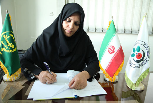 ضد عفونی ۷۷ هزارو ۸۸۶ تن بذور گندم و جو در خراسان رضوی