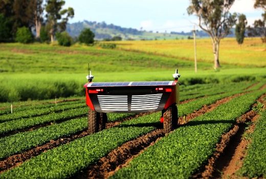 شتاب در صنعت کشاورزی با ورود استارت‌آپ‌ها