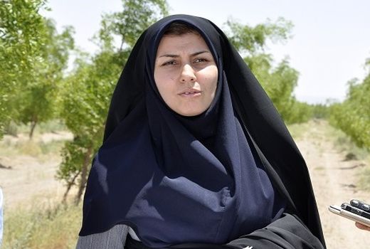 عملیات کشت مستقیم در بیش از 100 هکتار از اراضی شهرستان سربیشه در راستای کشاورزی حفاظتی