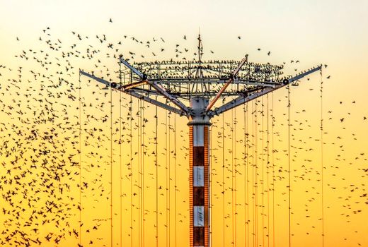 تقدیر دو جشنواره عکس ترکیه از عکاسان ایرانی