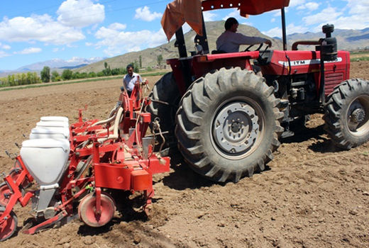 کاهش خسارت کشاورزی با رعایت تناوب کشت پاییزه