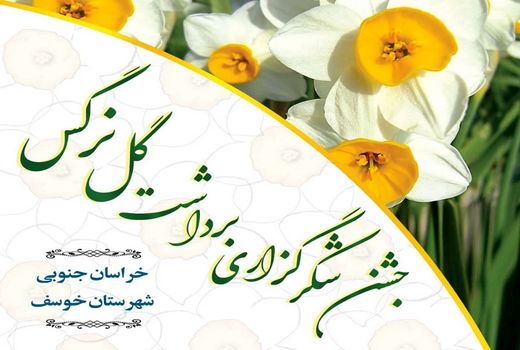 برگزاری جشن برداشت گل نرگس در شهرستان خوسف