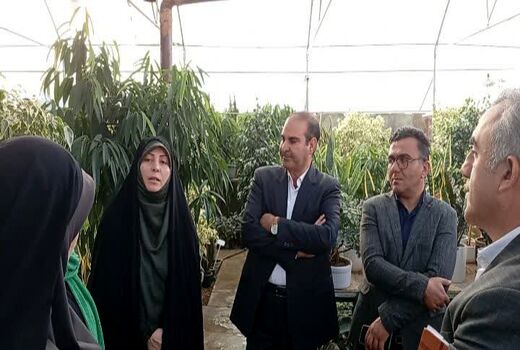 بازدید مدیر کل امور بانوان و خانواده استانداری آذربایجان غربی از محل کسب و کاربانوی کارآفرین در روستای قره حسنلو ارومیه

