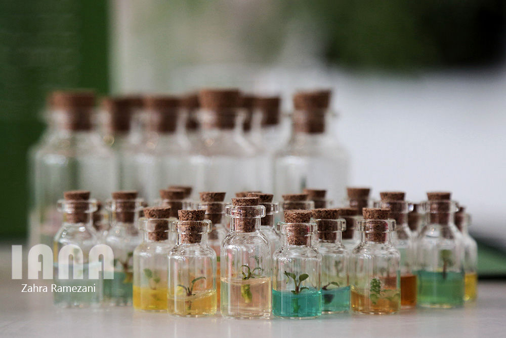 سومین نمایشگاه بین‌المللی‌ باغبانی