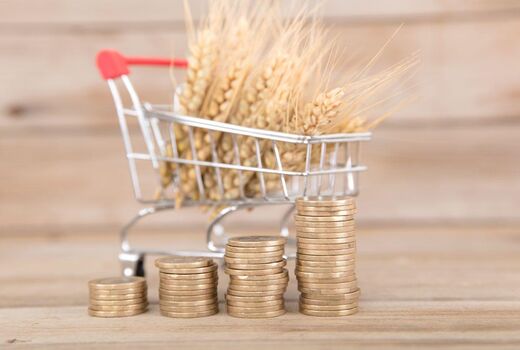 قیمت پیشنهادی خرید تضمینی گندم برای سال زراعی 1400-1399 برابر با 5 هزار و 92 تومان/ دولت به قانون خرید تضمینی عمل کند