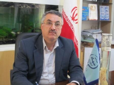 برداشت بیش از 1120 تن میگو از مزارع استان گلستان