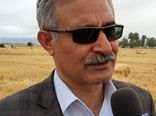افتتاح بزرگترین گلخانه تولیدی گل رز هلندی به ظرفیت 1 میلیون شاخه بریده  درسال 