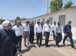 بازدید معاون توسعه دریامحور از مزارع مدرن پرورش میگو در دلوار بوشهر