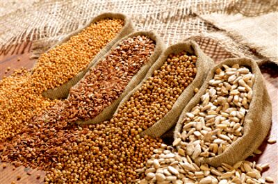 واردات ۲ میلیون و ۱۳۳ هزار تن دانه‌های روغنی به کشور