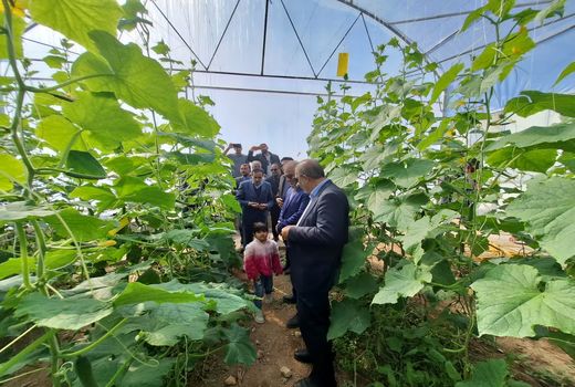 افتتاح گلخانه سبزی و صیفی شاهرخ در داراب