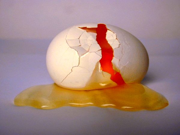 ترمز رشد تولید تخم‌مرغ در سال 95 کشیده می‌شود/ اوکراین جای ترکیه را گرفت