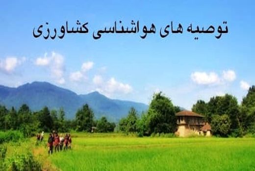 توصیه به بهره‌برداران بخش کشاورزی برای خسارت احتمالی سرمازدگی و تندباد