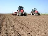 کشت ۱۴هزار هکتار گندم در بوشهر؛ تحقق برنامه ابلاغی منوط به بارندگی مؤثر  