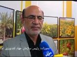 پرداخت خسارت محصولات کشاورزی تا پایان آبان ماه