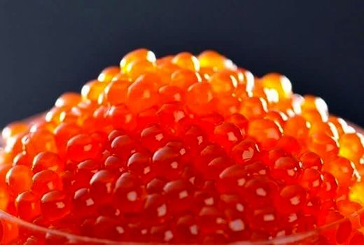 تخم ماهی قزل‌آلا برای نخستین بار از چهارمحال و بختیاری صادر شد