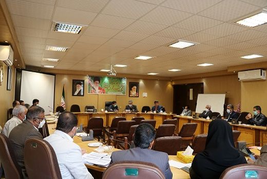 بیش از۷۵ درصد نیاز بذری استان  از مزارع داخل استان تامین می شود