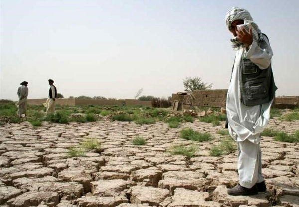 سخت‌ترین سال کشاورزی کشور در 50 سال گذشته 
