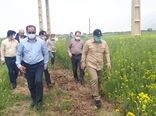 بازدید میدانی رئیس سازمان جهاد کشاورزی استان لرستان از مزارع گندم و کلزای شهرستان سلسله