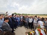 وزیر جهاد کشاورزی از سایت الگویی- ترویجی طرح تغذیه گیاهی گندم بازدید کرد