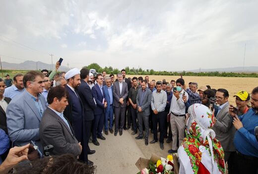 وزیر جهاد کشاورزی از سایت الگویی- ترویجی طرح تغذیه گیاهی گندم بازدید کرد