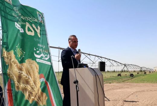 پرداخت ۸۴ درصدی بهای گندم به کشاورزان کشور