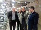 بازدید رئیس سازمان جهاد کشاورزی گیلان از شرکت صنعتی ۳۶۰۰ تنی لبنیات لاهیجان
