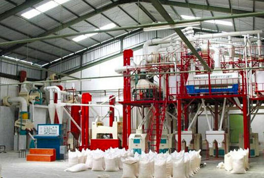 خاموشی‌ها خط تولید را می‌فرسایند/آسیاب تولید با باد اصلاح می‌چرخد، نه خاموشی!