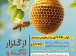 اینفوگرافی | از گلزار تا کندو
