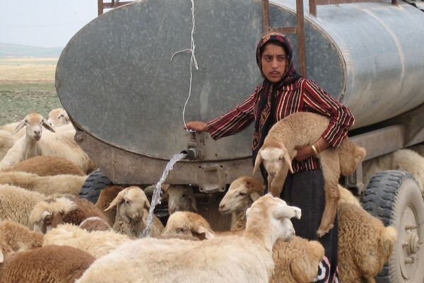 پرداخت تسهیلات ارزان قیمت به دامداران روستایی و عشایری،در قالب دامدار کارت