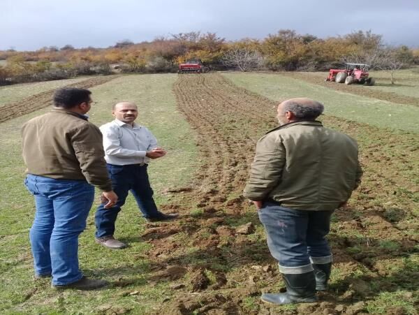 جهش تولید در 2500 هکتار دیمزارهای گلوگاه